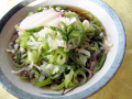 ねぎそば・うどん画像