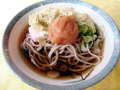 梅とろこぶそば・うどん画像